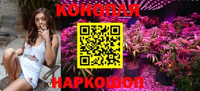 прущая мука Гай