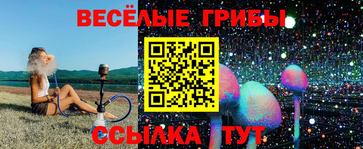 Галлюциногенные грибы ЛСД  Галлюциногенные грибы MAGIC MUSHROOMS  Новочеркасск  Вход с VPN 